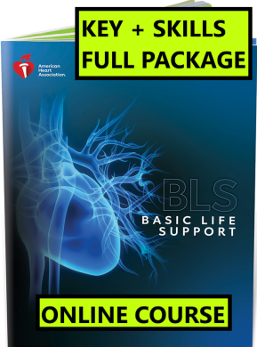 BLS Provider CPR/AED Online Blended Course With Skills Session